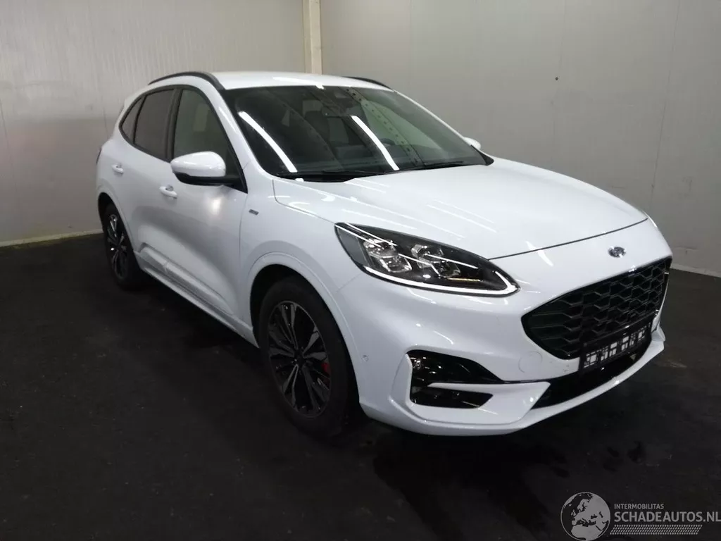 Ford Kuga Diverse onderdelen leverbaar in verschillenden kleuren en uitvoeringen