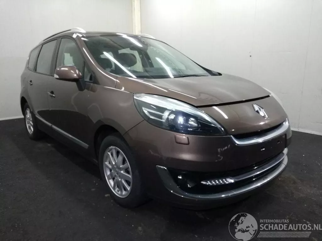 Renault Grand Sc&eacute;nic