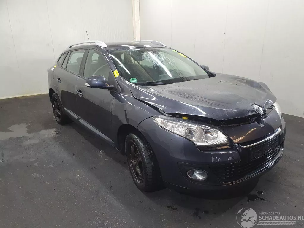 Renault M&eacute;gane