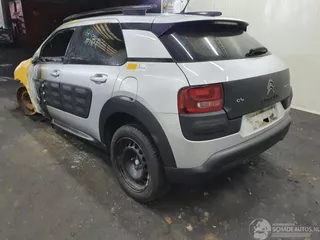 Citro&euml;n C4 Cactus