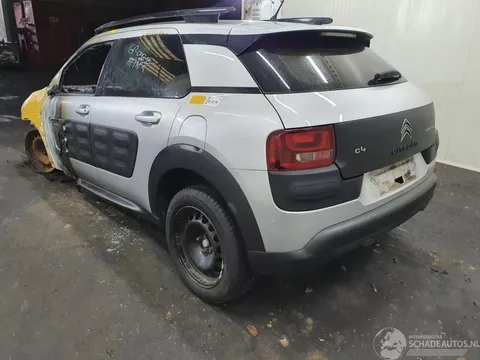 Citro&euml;n C4 Cactus