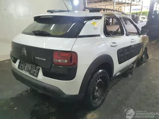 Citro&euml;n C4 Cactus