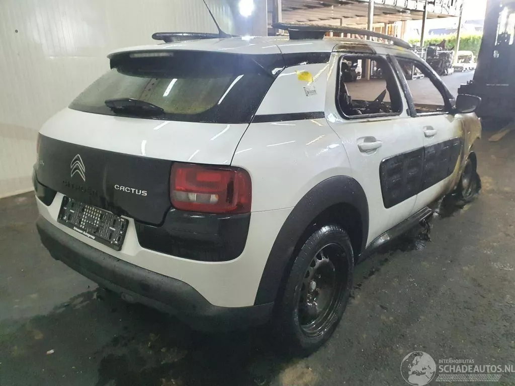 Citro&euml;n C4 Cactus