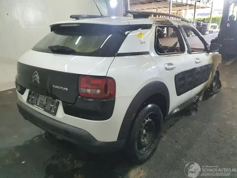 Citro&euml;n C4 Cactus