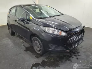 Ford Fiesta Style