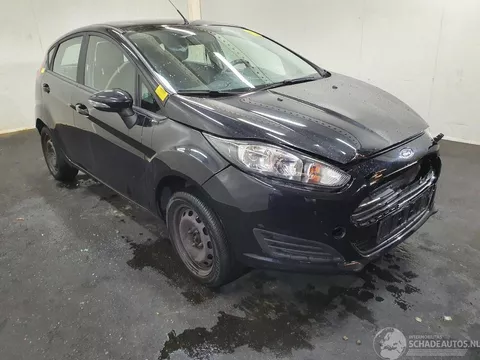 Ford Fiesta Style