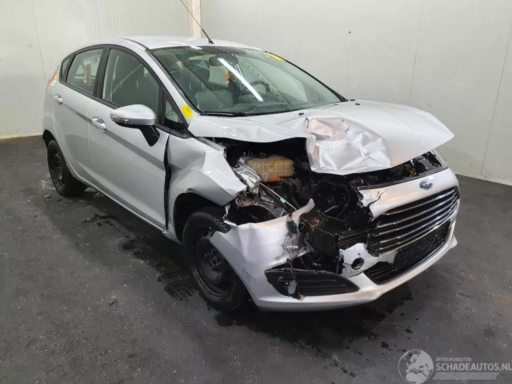 Ford Fiesta Style