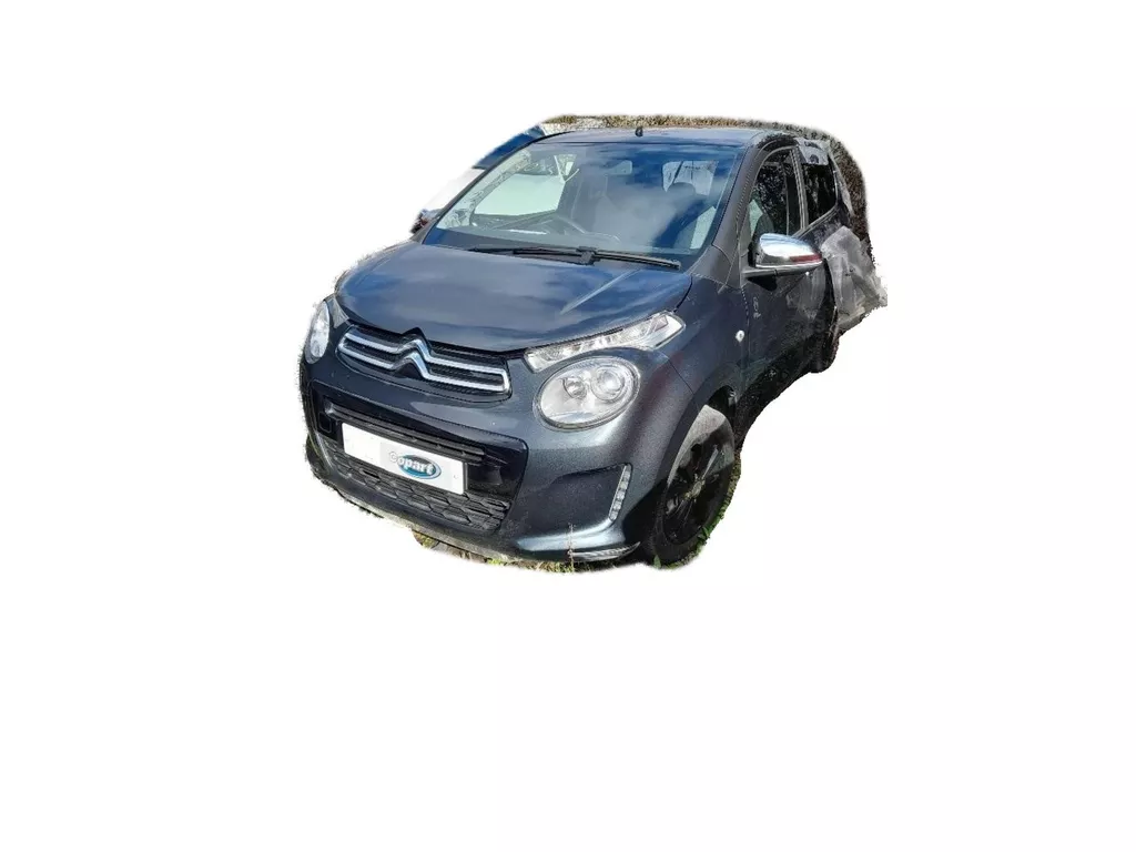 Citro&euml;n C1 Origins