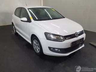 Volkswagen Polo 6R Bluemotion
