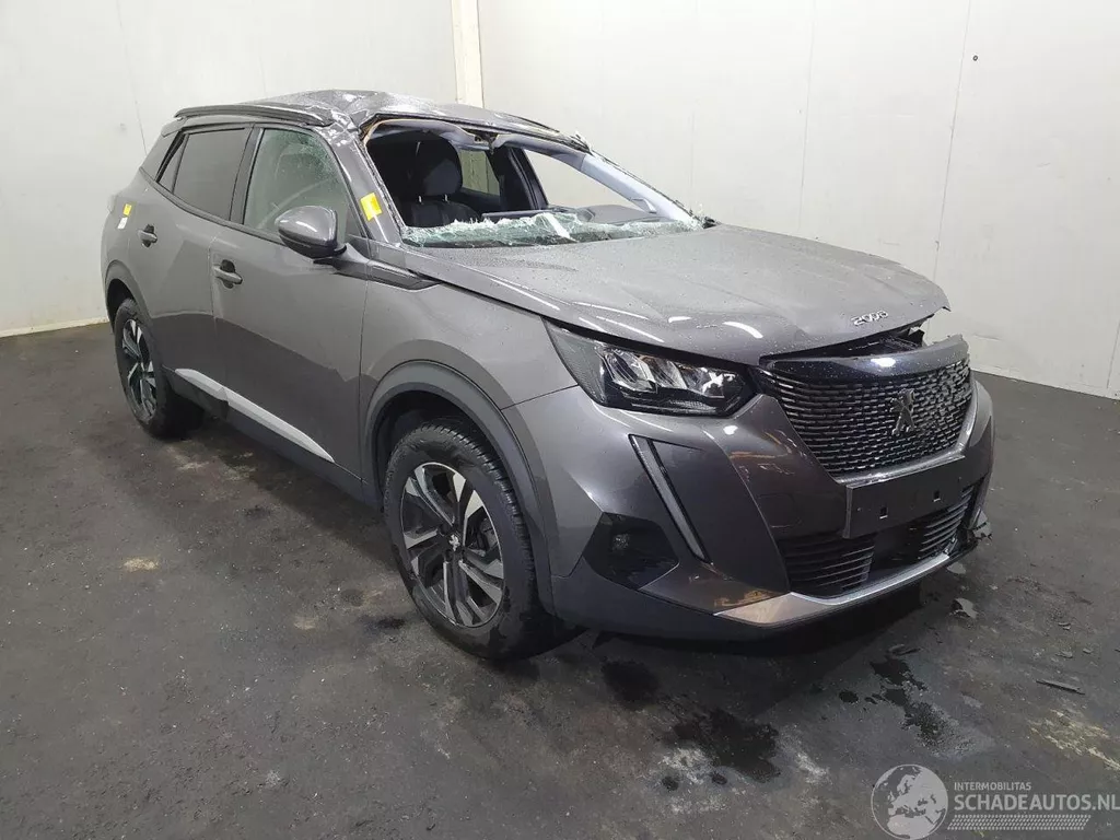 Peugeot 2008 P24E 1.2 PT Business Line Allure